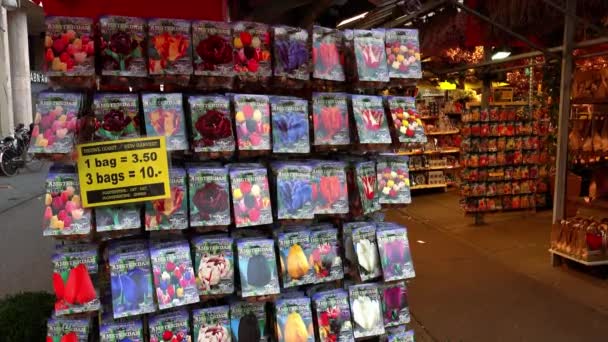 Tulipani olandesi di Amsterdam stand di vendita — Video Stock