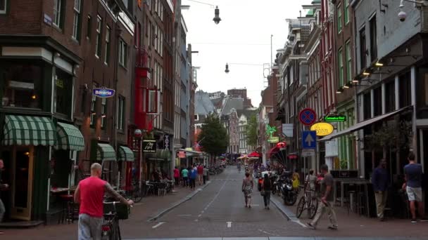 アムステルダムのライツェ広場に小さな通り — ストック動画