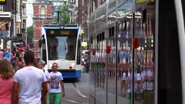 Trams in Amsterdam — Stock Video