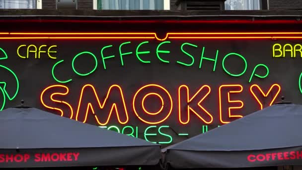 Stora kaffe butik som heter Smokey på Rembrandt Square Amsterdam — Stockvideo