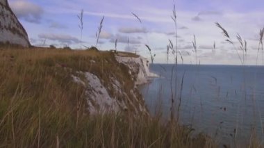 Dover Beyaz kayalıklar güneşli bir günde