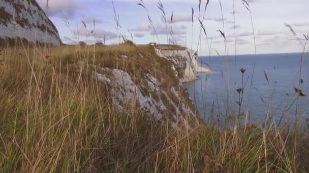 Białe klify w Dover w słoneczny dzień - Wielkiej naturze — Wideo stockowe