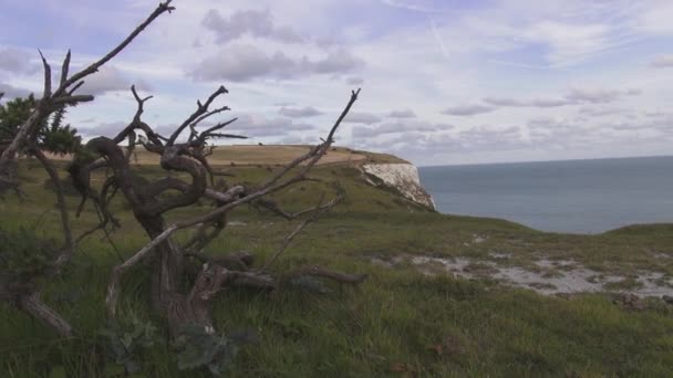 Los acantilados blancos de Dover — Vídeo de stock