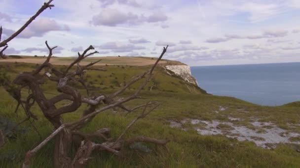 Wunderschöne Natur an den weißen Klippen von Dover an der britischen Küste — Stockvideo