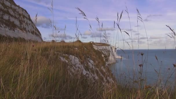 De White cliffs of Dover op een zonnige dag — Stockvideo