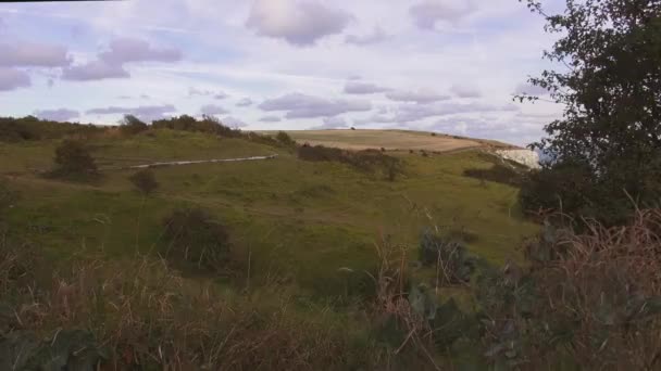 Magnifiques prairies aux falaises blanches de Douvres — Video