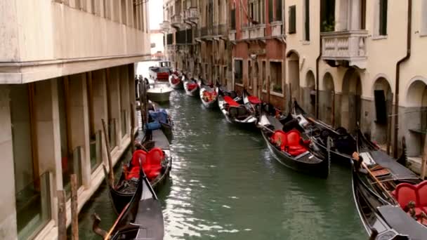 Gondels op canal - Venetië, Venezia — Stockvideo