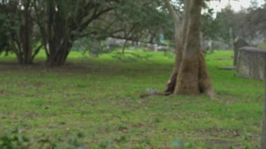 Eski huzur içinde parça haç üzerinde bir mezarlık Rip