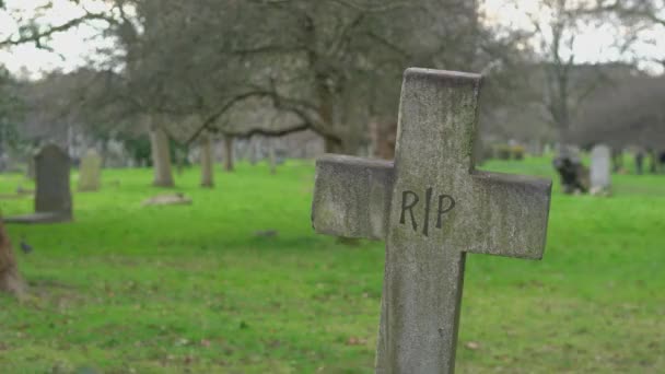 Old Rest in piece crucifix on a cemetery RIP — Stock Video