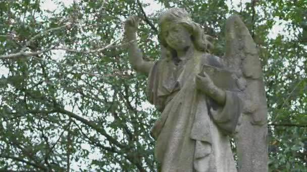 Antica statua dell'angelo di pietra — Video Stock