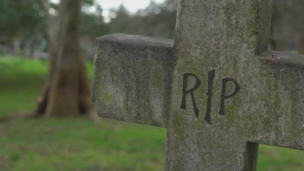 Old Rest in piece crucifix on a cemetery RIP — Stock Video