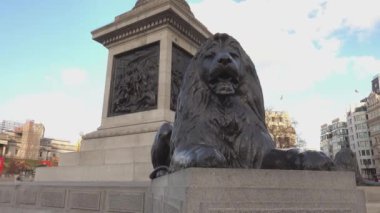 Trafalgar Meydanı Londra'daki ünlü aslanlar