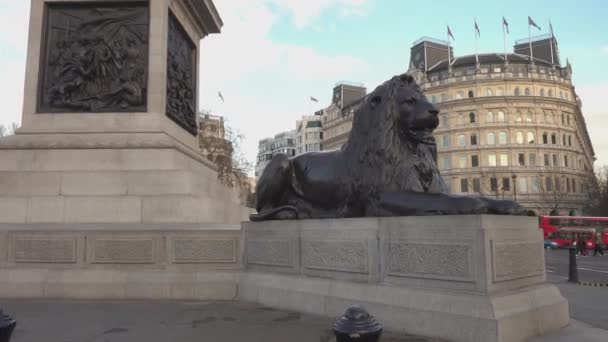 Знаменитые львы на Трафальгарской площади Лондона — стоковое видео