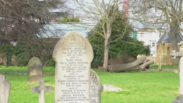 Old gravestones from 1876 on a cemetery — Stock Video