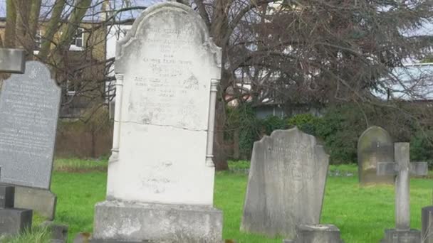 Old gravestones from 1876 on a cemetery — Stock Video