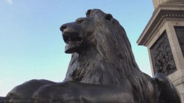 Trafalgar Meydanı Londra'daki ünlü aslanlar