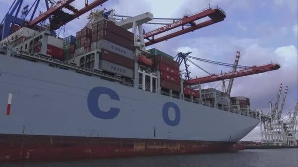 Вантажне судно контейнері величезним Cosco на Tollerort контейнерного термінала Гамбург Німеччина — стокове відео