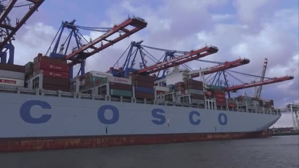 Be- oder Entladen von Containern von einem Schiff hamburg deutschland — Stockvideo