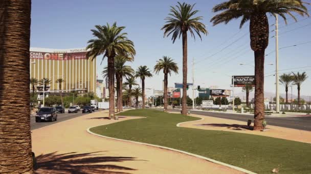 Las Vegas Miasto spółka z ograniczoną odpowiedzialnością - Las Vegas, Nevada/Usa — Wideo stockowe