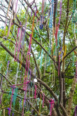 Colorful necklaces hanging in the trees of New Orleans clipart