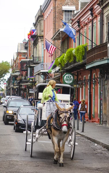 Atlı taksi adlı Fransız çeyrek New Orleans - New Orleans, Louisiana - 18 Nisan 2016 — Stok fotoğraf