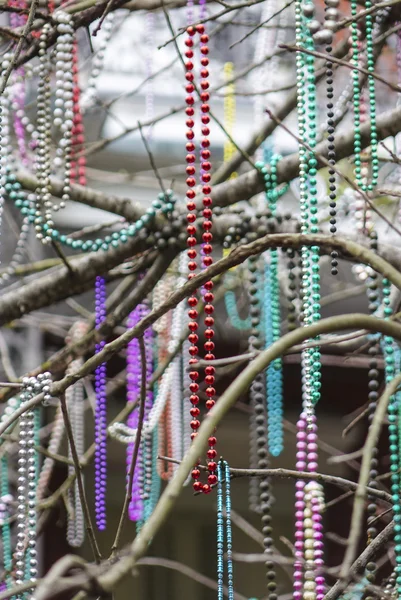 Colliers colorés suspendus dans les arbres de la Nouvelle-Orléans — Photo