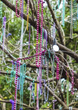 New Orleans ağaçlarda asılı renkli Kolyeler