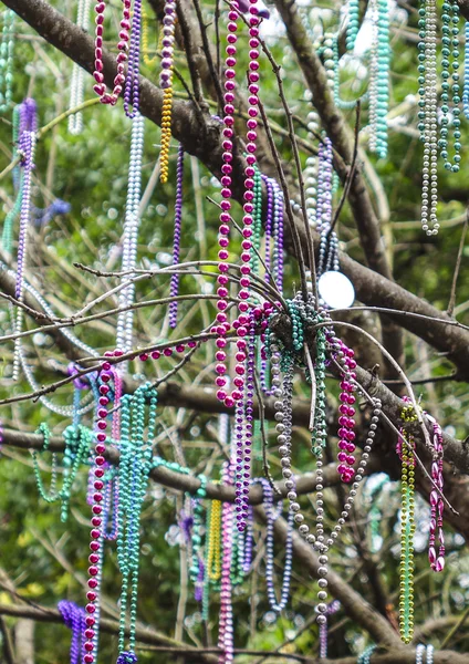 Colliers colorés suspendus dans les arbres de la Nouvelle-Orléans — Photo