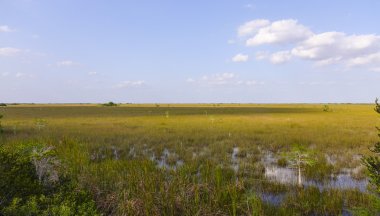 Florida Everglades Ulusal Parkı