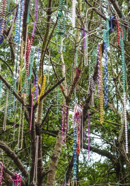 New Orleans ağaçlarda asılı renkli Kolyeler