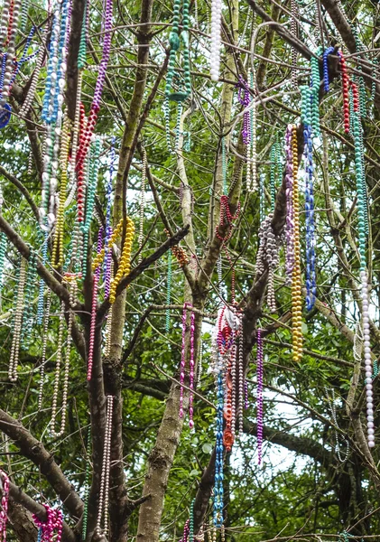 Colliers colorés suspendus dans les arbres de la Nouvelle-Orléans — Photo