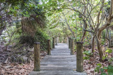 Yol boyunca Everglades Ulusal Park - Miami, Florida - 10 Nisan 2016 ayak