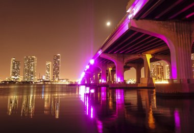 Colorful bridges in Miami by night clipart