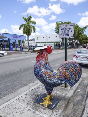 Ünlü horoz Calle 8 - Miami küçük Havana'nın sokakta. Florida - 10 Nisan 2016