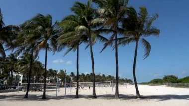 Miami Plajı Floridası Güneşli bir günde