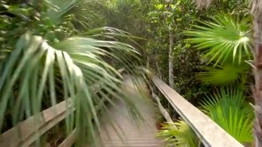 Güney Floridadaki Everglades Ulusal Parkı