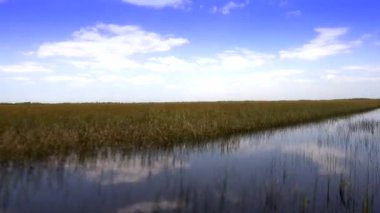 FLORIDA 'DA Everglades' te heyecanlı bir tekne gezisi