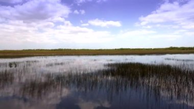 FLORIDA 'DA Everglades' te heyecanlı bir tekne gezisi