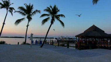 Güzel Florida Keys gün batımında