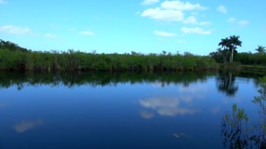 Güney Floridanın Everglades 'inde romantik bir göl