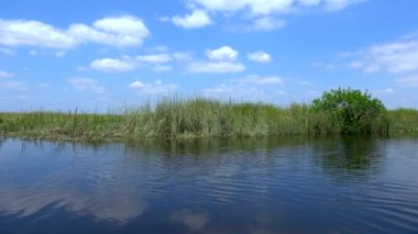 Şaşırtıcı Bataklık Gemisi Güney Floridanın Everglades 'inde