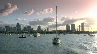 Miami körfezinde bir sürü yelkenli teknesi var.