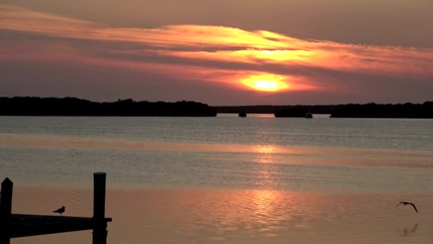 Güzel Florida Keys gün batımında — Stok video