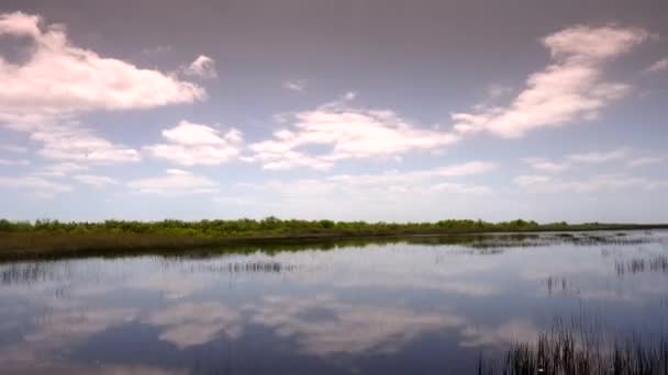 Projížďka vzducholodí v Everglades poblíž Miami — Stock video