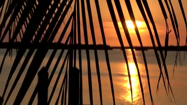 Incredibile tramonto nelle Florida Keys — Video Stock