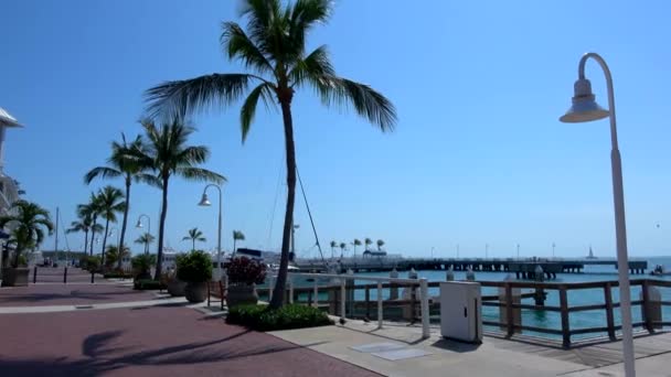 El muelle en Key West en un día soleado — Vídeo de stock