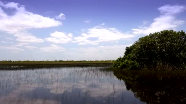 Flygbåtstur i Everglades nära Miami — Stockvideo