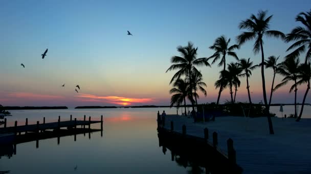 Gün batımında Florida Keys 'de küçük güzel bir iskele. — Stok video