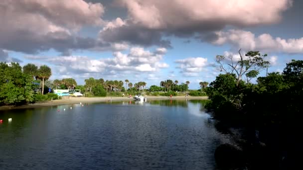 Güney Florida 'da güzel bir körfez. — Stok video