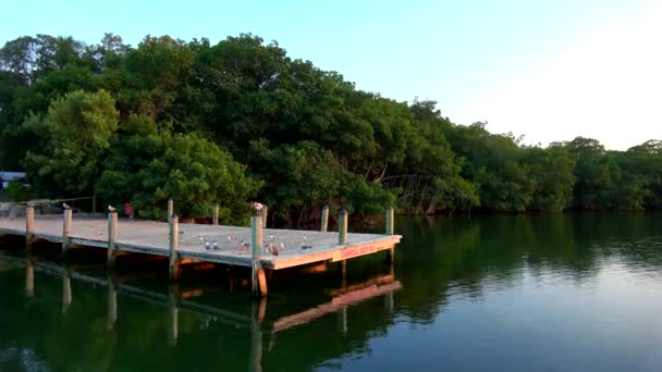 Beautiful little bay in the Florida Keys — Stock Video